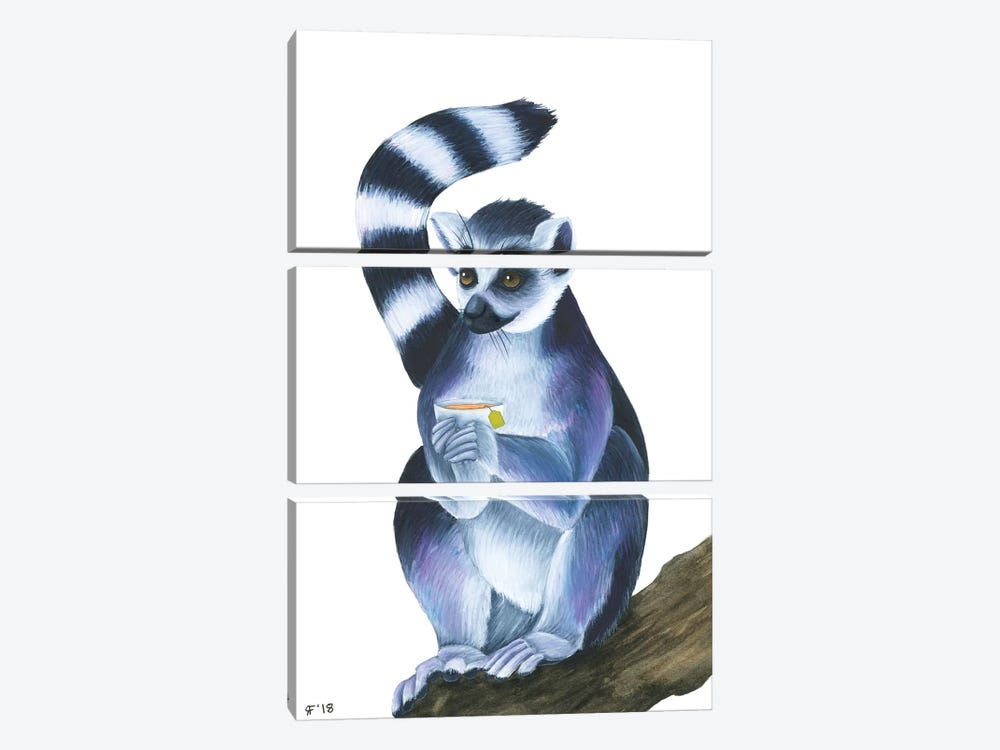 Lemur II by Alasse Art 3-piece Canvas Artwork