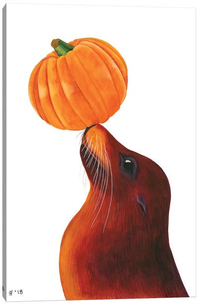 Pumpkin Sea Lion Canvas Art Print - Alasse Art