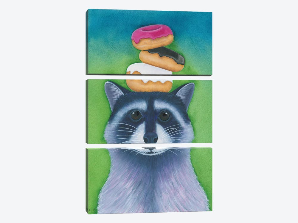 Racoon With Donuts by Alasse Art 3-piece Canvas Artwork