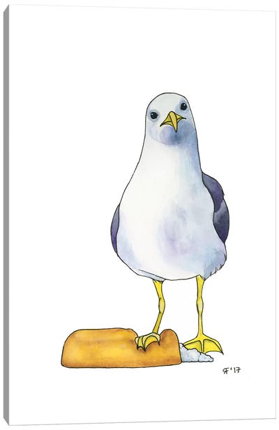 Twinkie Gull Canvas Art Print - Gull & Seagull Art