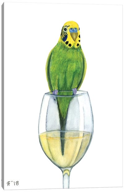 Wine Parakeet White Canvas Art Print - Parakeet Art