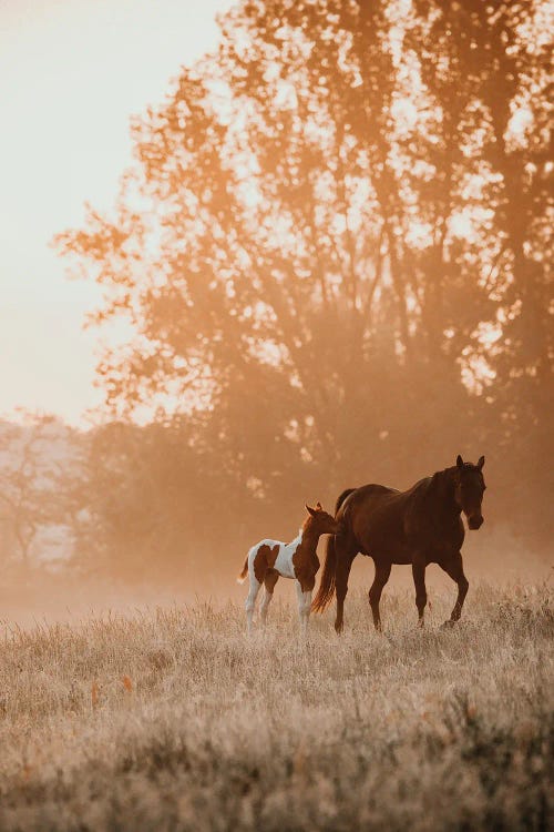 Feeling Safe With You by Anna Archinger wall art