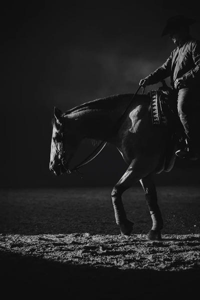 Art Enthusiast: Grace In Motion by Anna Archinger