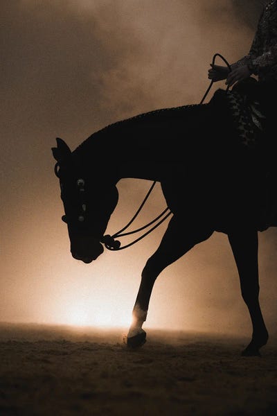 Holy Contact by Anna Archinger canvas print