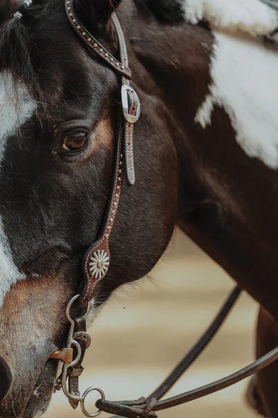 Animal Lover: Playing With Style by Anna Archinger