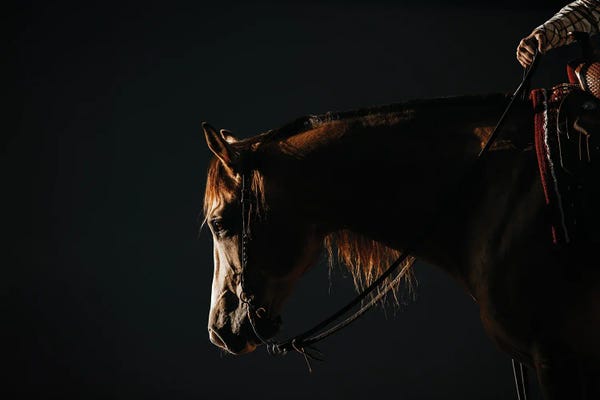 Serenity In Shadow