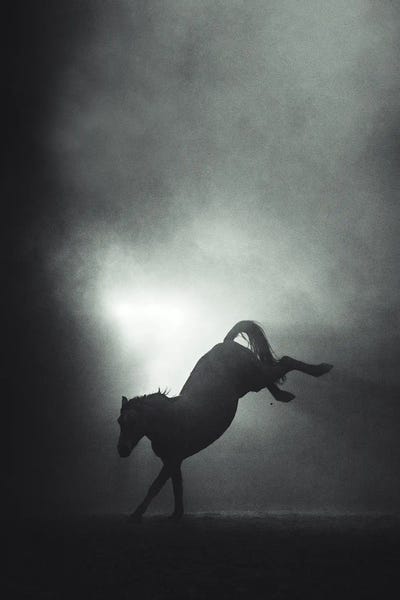 Art Enthusiast: Breaking Free by Anna Archinger