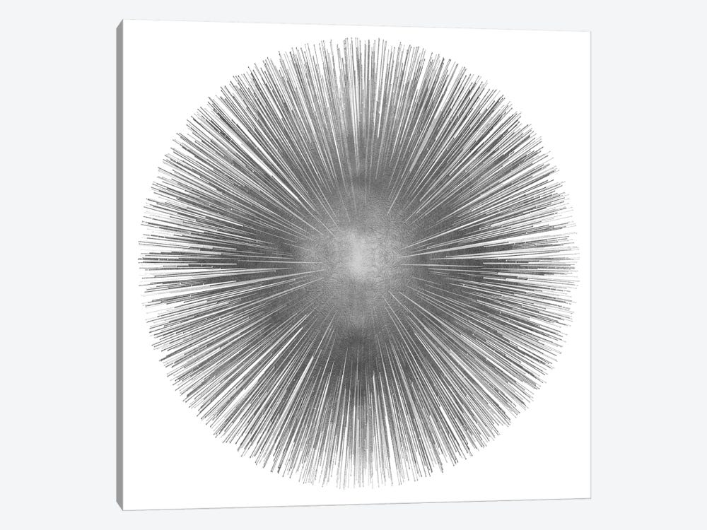 Silver Sunburst I by Abby Young 1-piece Canvas Artwork