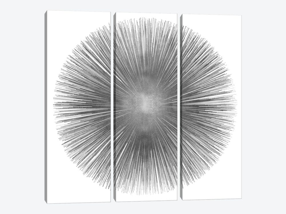 Silver Sunburst I by Abby Young 3-piece Canvas Wall Art