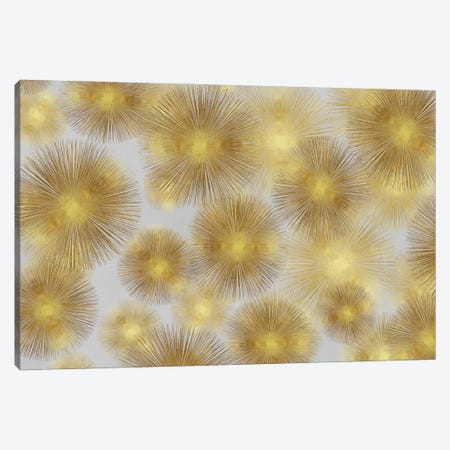 Sunburst Cluster Canvas Print #ABB16} by Abby Young Canvas Wall Art
