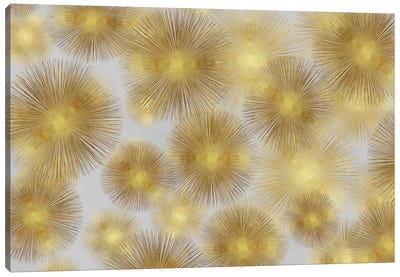 Sunburst Cluster Canvas Art Print