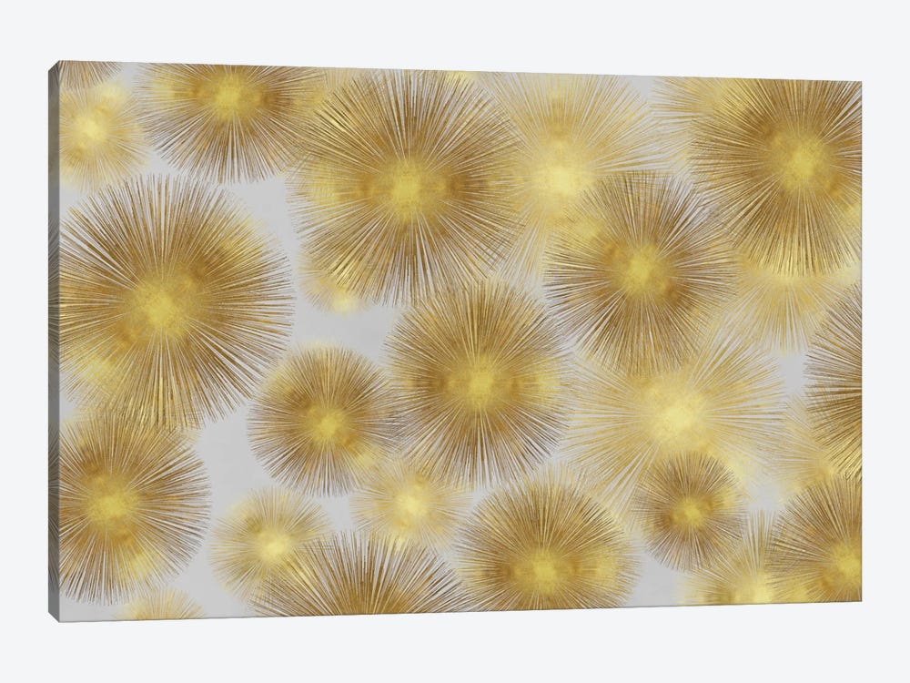 Sunburst Cluster by Abby Young 1-piece Canvas Artwork