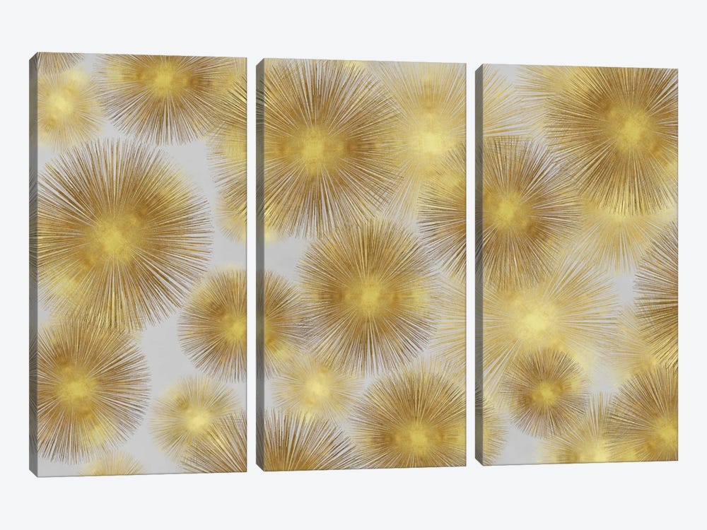 Sunburst Cluster by Abby Young 3-piece Canvas Artwork