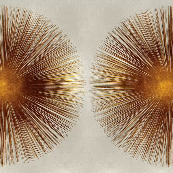 Abstract Shapes & Patterns: Bronze Sunburst II by Abby Young