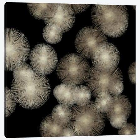 Pewter Sunbursts Canvas Print #ABB6} by Abby Young Art Print