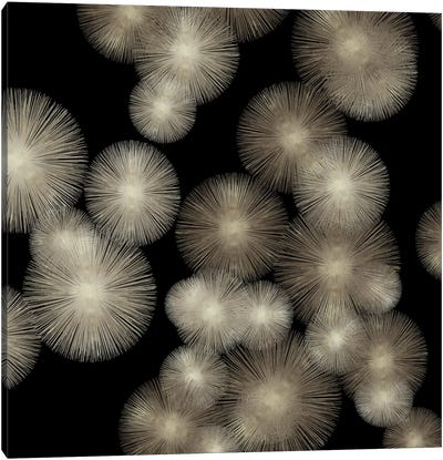 Pewter Sunbursts Canvas Art Print - Abby Young