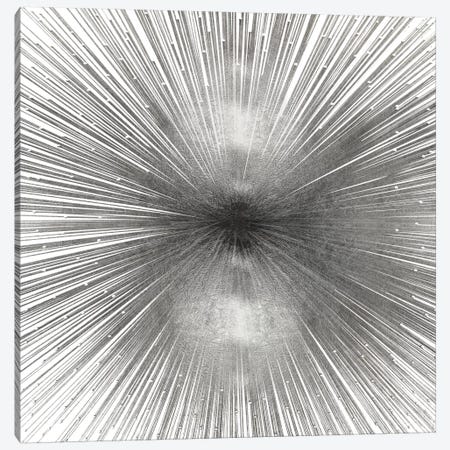 Radiant Silver Canvas Print #ABB9} by Abby Young Canvas Wall Art
