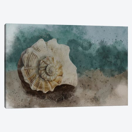 Sea Treasure I Canvas Print #ABD113} by Angela Bawden Art Print