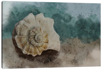Sea Treasure I Canvas Art Print - Angela Bawden