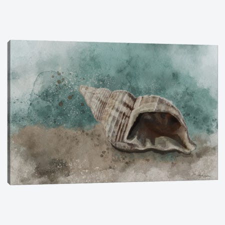 Sea Treasure II Canvas Print #ABD114} by Angela Bawden Canvas Art