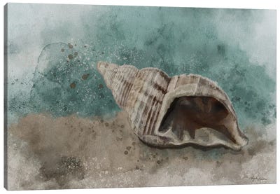 Sea Treasure II Canvas Art Print - Angela Bawden
