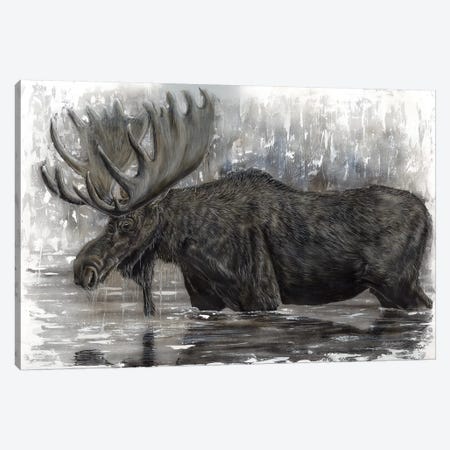 Grand Majestic Moose Canvas Print #ABD11} by Angela Bawden Canvas Print