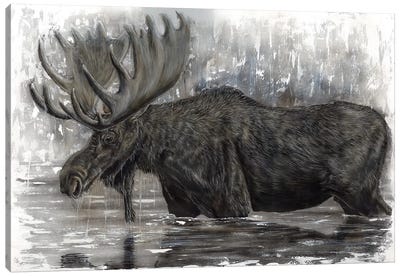 Grand Majestic Moose Canvas Art Print - Angela Bawden