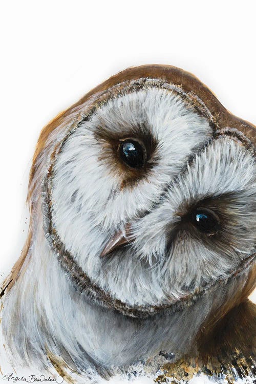 Curious by Angela Bawden canvas print