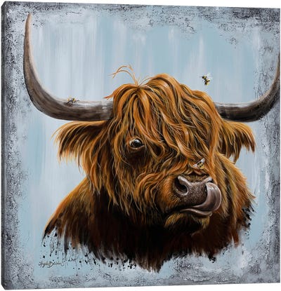 Coo Kisses Canvas Art Print - Highland Cow Art