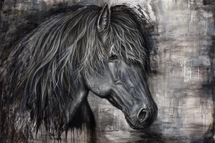 Majestic Dark Horse by Angela Bawden wall art