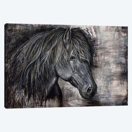 Majestic Dark Horse Canvas Print #ABD14} by Angela Bawden Canvas Artwork