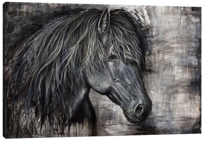 Majestic Dark Horse Canvas Art Print - Angela Bawden