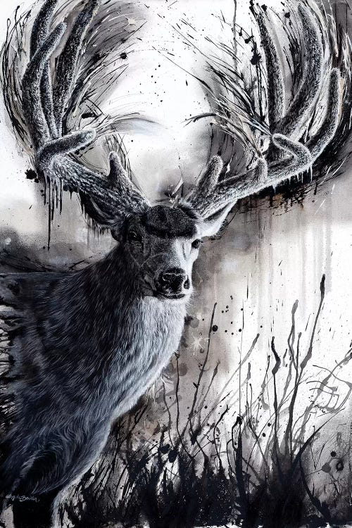 Paunsaugunt Prince by Angela Bawden wall art