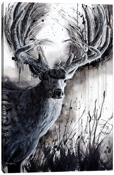 Paunsaugunt Prince Canvas Art Print - Deer Art