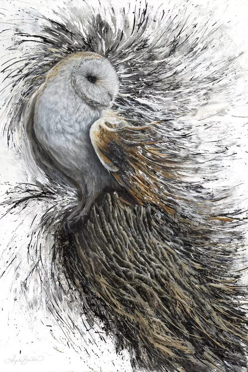 Perched by Angela Bawden wall art