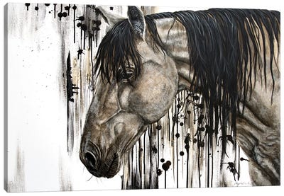 Buckskin Beauty Canvas Art Print - Horse Art