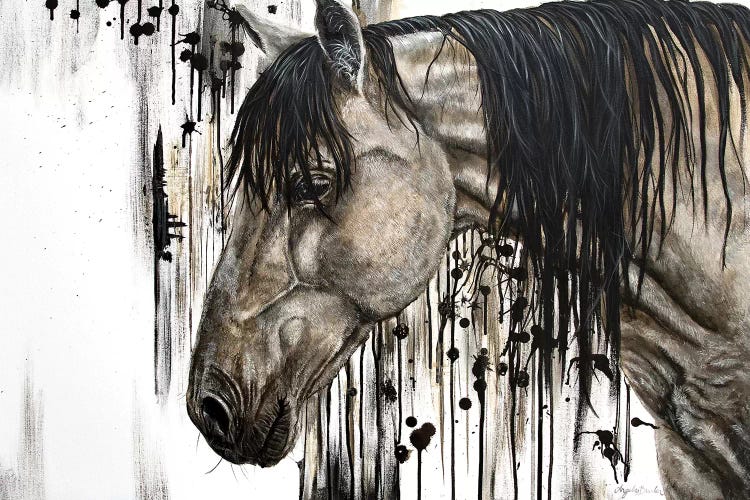Buckskin Beauty by Angela Bawden wall art