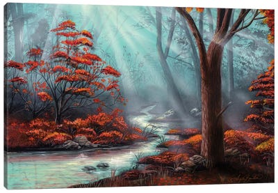 Serenity Forest Canvas Art Print - Angela Bawden
