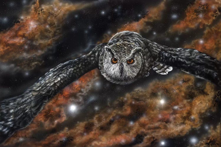 Silent Wings by Angela Bawden wall art