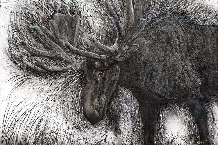 Untamed Moose by Angela Bawden wall art