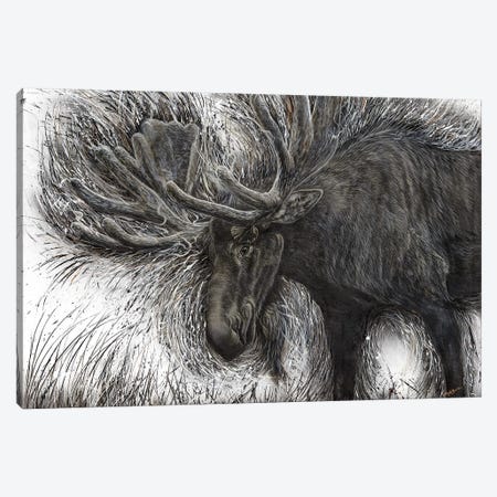 Untamed Moose Canvas Print #ABD29} by Angela Bawden Canvas Art