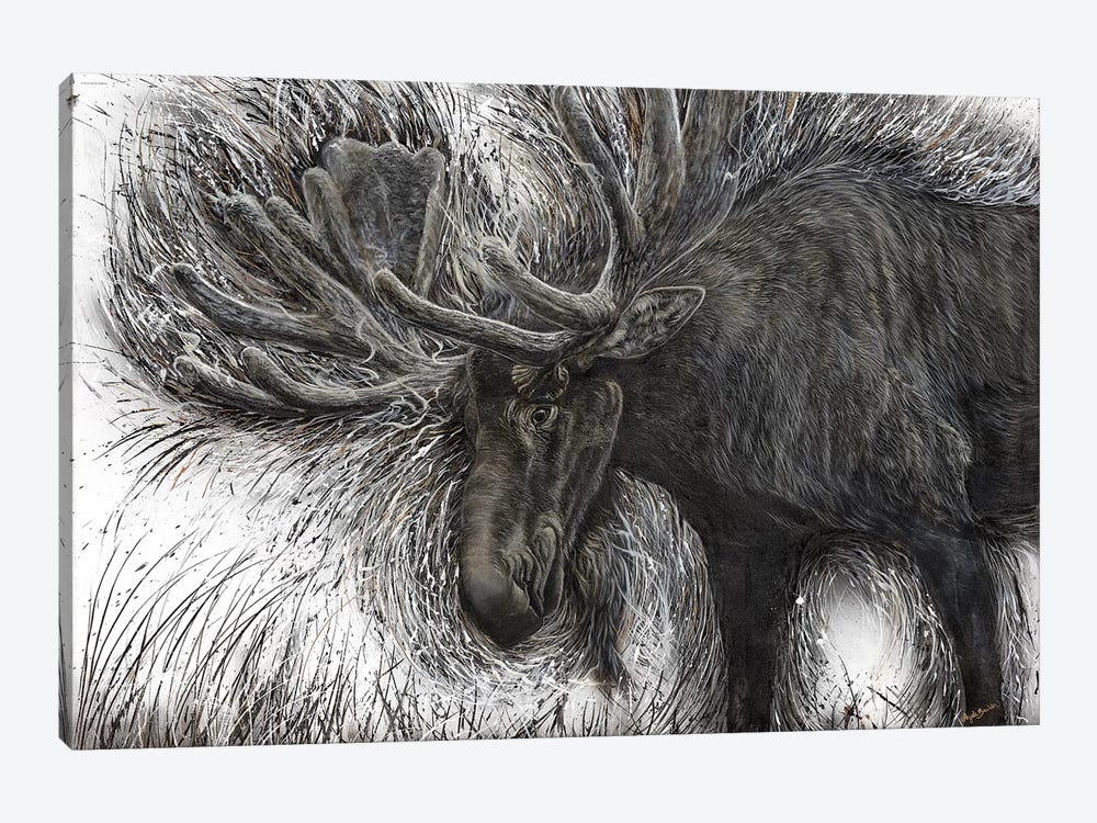 Untamed Moose by Angela Bawden 1-piece Canvas Art