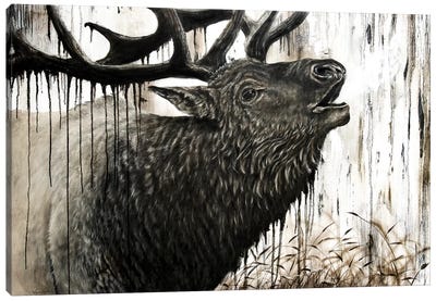 Bugling Bull Elk Canvas Art Print - Elk Art