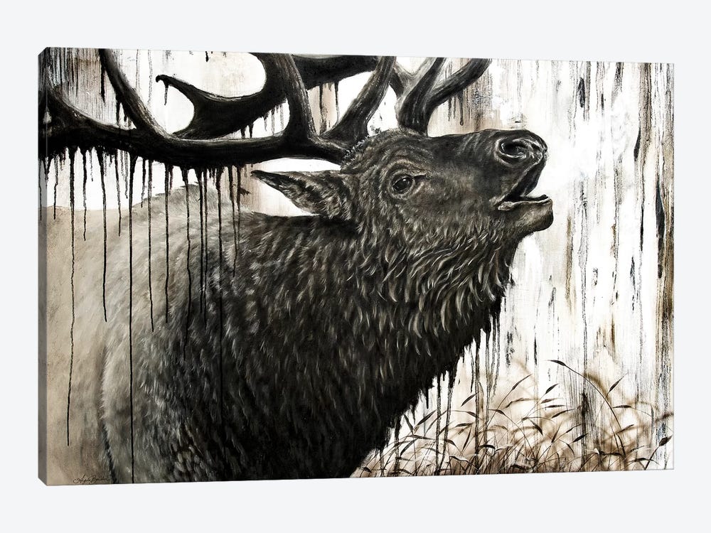 Bugling Bull Elk by Angela Bawden 1-piece Canvas Wall Art