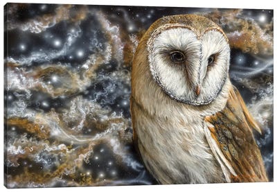 Watchful Eye Canvas Art Print - Angela Bawden