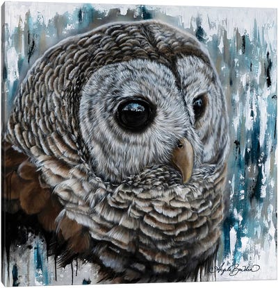 Mysterious Eyes Canvas Art Print - Owl Art