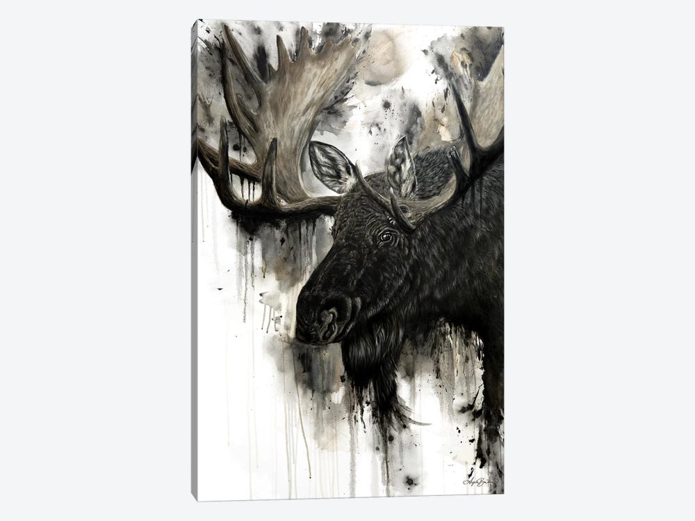 Bull Moose by Angela Bawden 1-piece Canvas Art Print