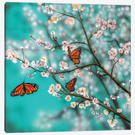 Butterflies And Blossoms Canvas Print #ABD4} by Angela Bawden Canvas Art Print
