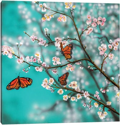 Butterflies And Blossoms Canvas Art Print - Angela Bawden