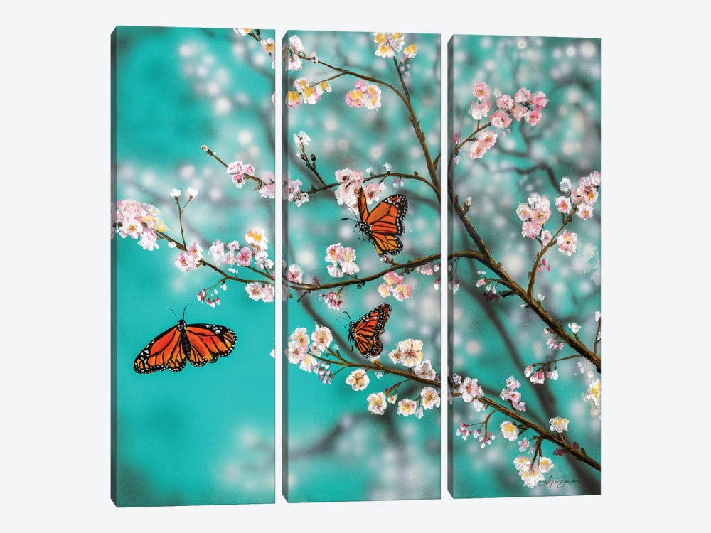 Butterflies And Blossoms by Angela Bawden 3-piece Canvas Art